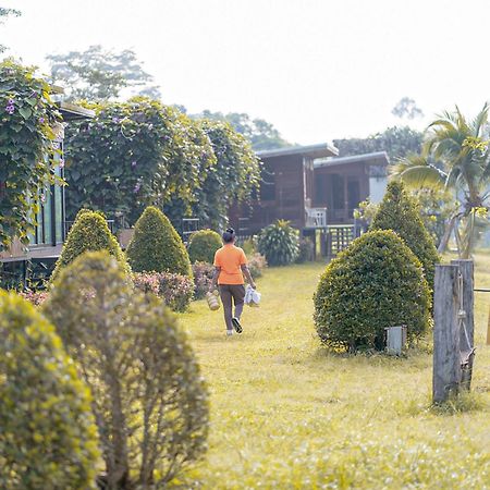 Chiewlan Camp And Resort Ban Pha Saeng Lang Eksteriør billede